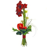 Экзотические цветы