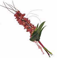 Экзотические цветы