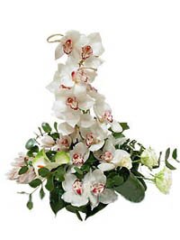 Экзотические цветы