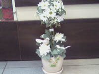 Композиция