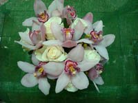 Экзотические цветы