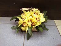 Экзотические цветы