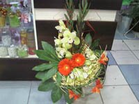 Экзотические цветы