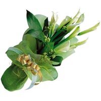 Экзотические цветы