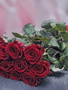 Букет из красной розы «Моей ненаглядной»